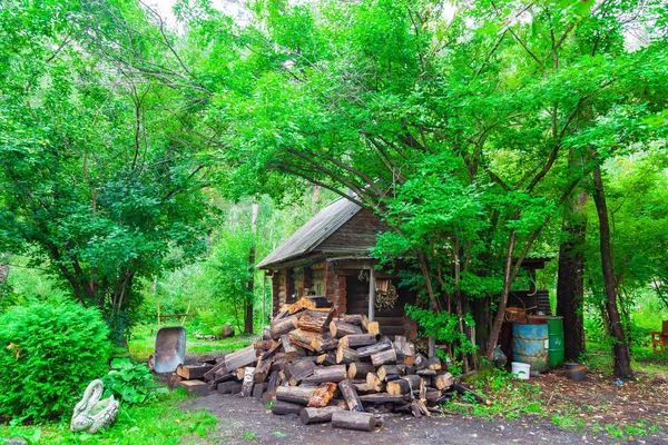 A small house, a hut in a green forest with trees near a pile of — Stock Photo, Image