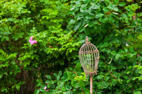 Yeşil çiçekli bahçede kuşlar için eski vintage bronz kafes — Stok fotoğraf
