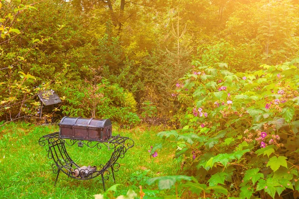 Old retro metal closed wrought iron barbecue with firewood for c — Stock Photo, Image