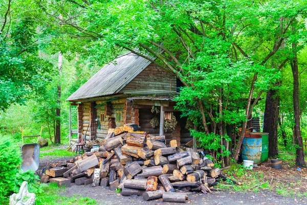 Küçük bir ev, yeşil bir ormanda bir kulübe ve bir yığın ağaçların yanında — Stok fotoğraf