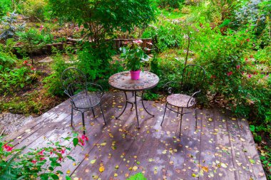 İki c ile bir kır evinin avlusında Blooming bahçe