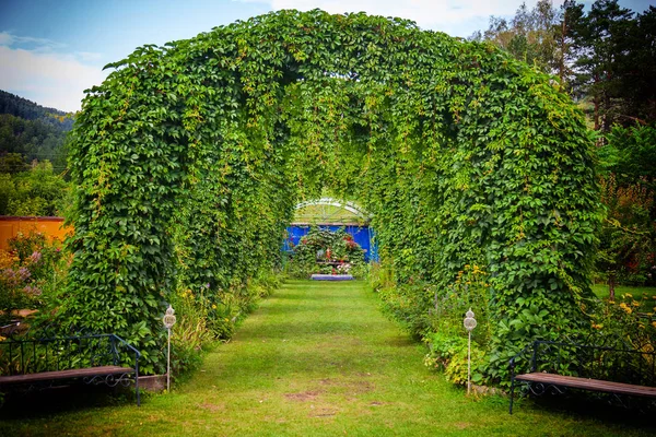 Grandi archi semicircolari di piante verdi con foglie in piedi i — Foto Stock