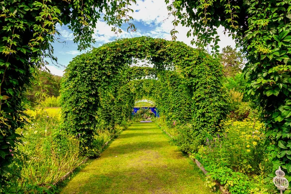 Grandes arcs semi-circulaires de plantes vertes avec des feuilles debout i — Photo