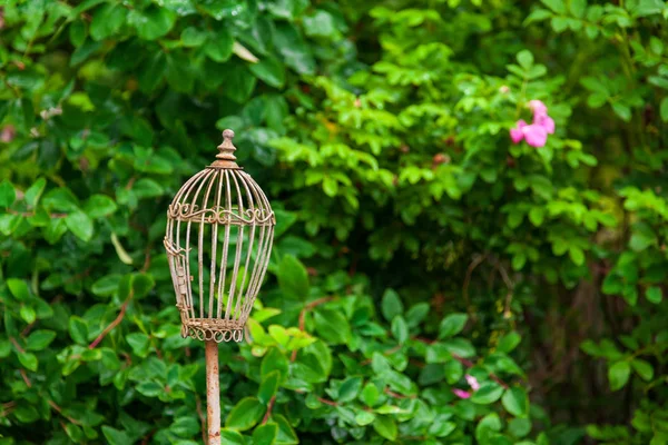 Yeşil çiçekli bahçede kuşlar için eski vintage bronz kafes — Stok fotoğraf