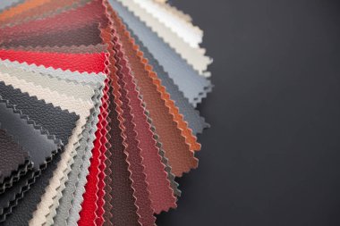 Farklı hakiki deri malzeme örnekleri ile bir katalog