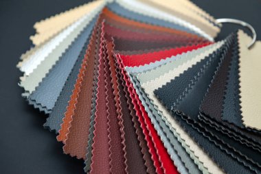 Farklı hakiki deri malzeme örnekleri ile bir katalog