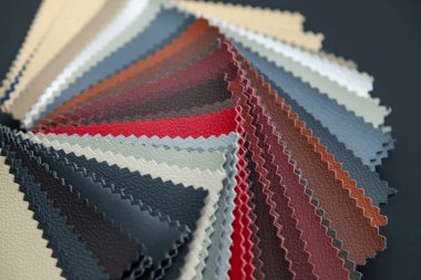 Farklı hakiki deri malzeme örnekleri ile bir katalog