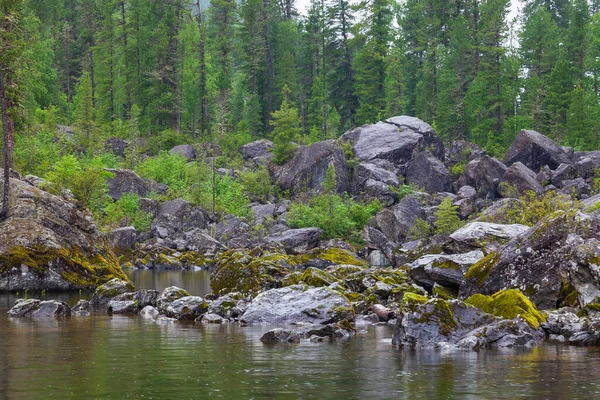 Stony shore of the lake with a creek on the Teletskoye lake in t