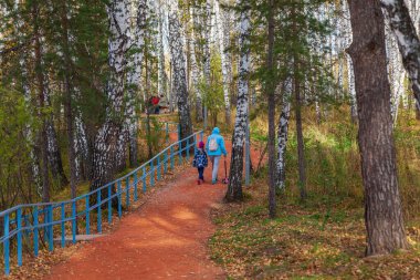 Bir parkta, huş ağacında ağaçlarla kaplı turuncu bir moloz yolu.