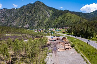 Büyük biçilmiş yuvarlak çam ağaçları hazırlık için bir yığın döşenir o