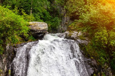 Altai dağlarında şelale. Sulu su yeşil ağaçların etrafındaki taşlardan aşağı dökülüyor. Rusya 'da yaz kendini izole etme ve karantina modunda.