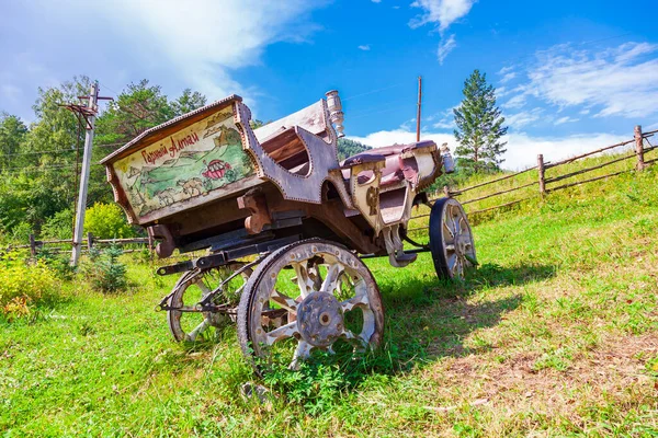 Altai Russia 2020 Chariot Harnessed Horses Green Meadow Altai Mountains — Stock Photo, Image