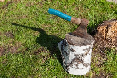 Doğal ahşaptan yapılmış bir balta standı, bir yazlık evde yeşil çimlerin arka planına karşı mavi bantla ev yapımı bir sapı olan saplı bir kütüktür..