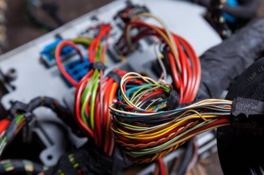 Siyah yalıtım ile birbirine dolanmış ve birbirine bağlanmış renkli tonlarda kablolardan oluşan geniş bir kabloya yakın çekim. Evde iş sağlayan bir elektrik ağının internet kablosu.