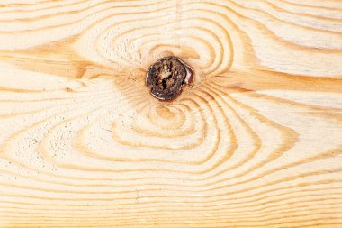 Ağacın gövdesinde ikiye bölünmüş halkaların görüntüsü olan bir bölümünün yakın çekimi kahverengi çekirdekli sarı ahşap bir desen şeklinde yaşlanmayla ve uzun ömürlü bir şekilde görünür..