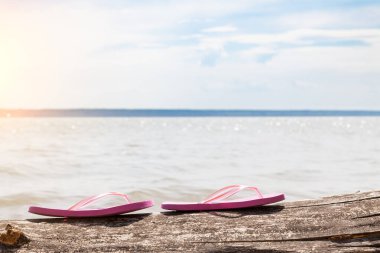 Güneşli bir sahilde bir çift pembe sandalet ve bir yaz günü deniz kenarında ağaç gövdesi. Dinlen ve sıcak ülkelere git..