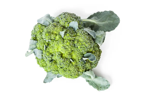 Ein Ganzer Schwung Brokkoli Kohlblütenstände Von Grüner Farbe Mit Blättern — Stockfoto