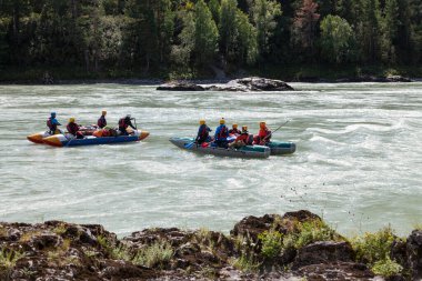Altai, Rusya - 08.16.2020: İki ekip ekipman, can yelekleri ve sarı miğferler içinde dağ nehrinde mavi şişme botlar ve kayalık bir sahilin arka planında kürek çeken hızlı küreklerle orman.