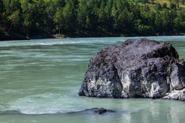 Dağ nehri - Altai 'de Turkuaz Katun' da büyük bir taşla yüzyıllardır akıntı ve su tarafından oyulmuş gri bir uçurum..