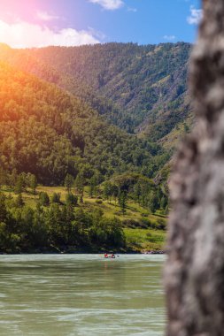 Altai dağlarında güzel bir manzara - kiriş botlu bir turkuaz katun, yeşil bir sahil ve mavi bir gökyüzü. Tatiller ve aşırı maceralar için turistik bir yer..