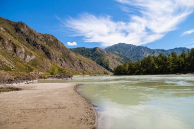 Altai 'deki Katun Nehri' nin kıyı şeridi bir yaz günü kumlu bir plajla dağların ve mavi gökyüzünün arkaplanına karşı..