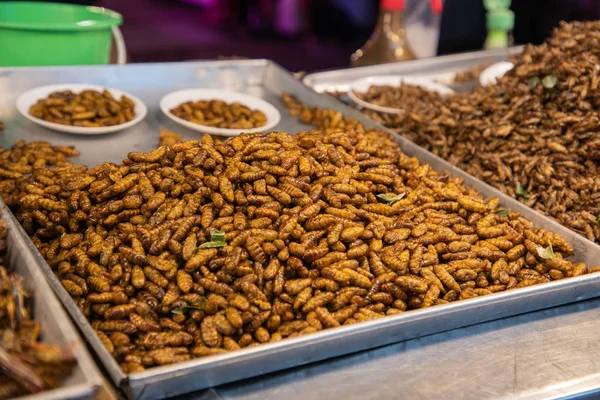 Kızarmış böcekler sokak gıda Asyalı. Bambu solucan, çekirge