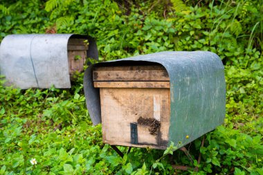 Arı kovanı ya da Arıcılık çiftlik dağ orman yağmur oluk boyunca ana yol.
