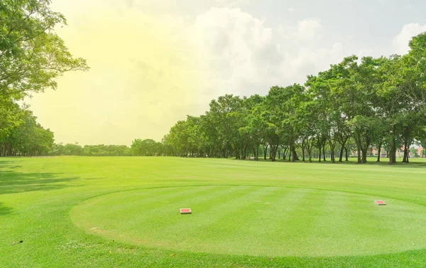 Entrée Herbe Verte Dans Terrain Golf Fond Jardin — Photo