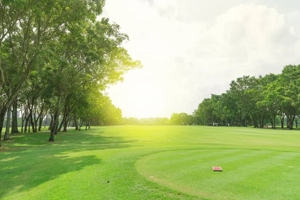 Entrée Herbe Verte Dans Terrain Golf Fond Jardin — Photo