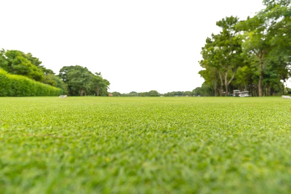 Golf mahkeme bulanıklık yeşil çim beyaz arka plan üzerinde odaklanın. Düşük açılı stil vurdu.