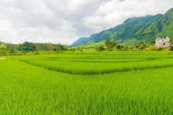 Bonito Campo Arrozal Paisagem Montanha Sapa Cang Chai Vietnam — Fotografia de Stock