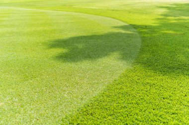Golf sahası güzel yeşil çim odaklanmak.
