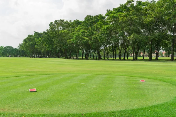 Starter Grama Verde Campo Golfe Jardim Fundo — Fotografia de Stock