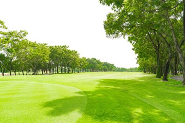 Odak Putting Green, Fairway kaba golf mahkemede üzerinde beyaz arka plan bulanıklık.