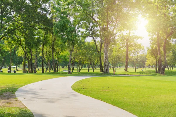 Yeni yolu ve güzel ağaçlar çalıştıran veya yürüyüş ve golf sahası yanında yeşil çim sahada relaksin parkta Bisiklete binme için izleyin. Güneş ışığı ve fişek arka plan kavramı.