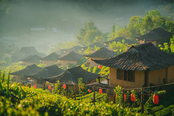 Rak Thai Village Tea Plantation Naturen Morgonen Frisk Luft Berg — Stockfoto