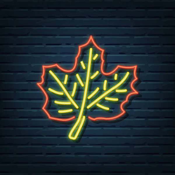 Maple Leaf Neon Sign Vector Elements — Stock Vector