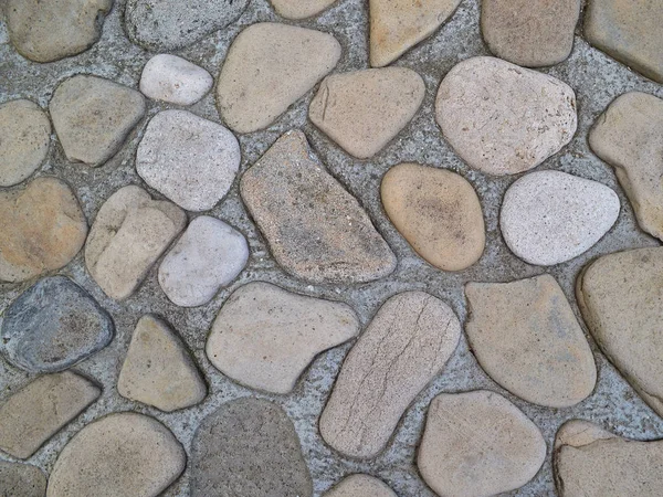 Pared Decorativa Pavimentada Con Piedras Redondas Planas Mar Casi Completamente —  Fotos de Stock