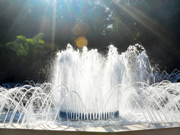 Rays Summer Evening Sun Brightly Shine Fountain Streams City Park — Stock Photo, Image