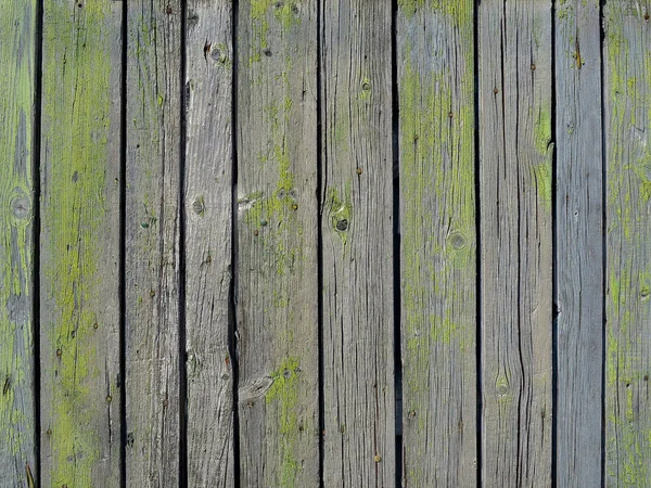 Textura Pared Verde Gris Viejo Tableros Verticales Madera Primer Plano — Foto de Stock