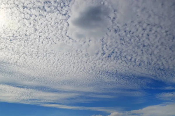 Viele Weiße Wolken Unterschiedlicher Art Kumulus Cirrus Hoch Blauen Himmel — Stockfoto