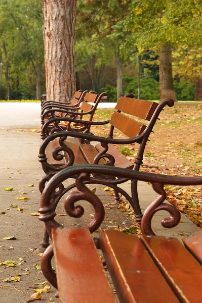 Деревянная Скамейка Аллее Городского Парка Теплый Осенний День Крупным Планом — стоковое фото
