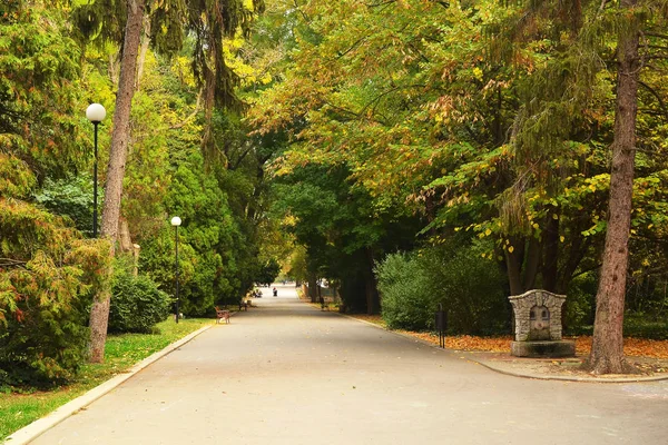 Weg Tussen Bomen Een Stadspark Lopen Een Warme Herfstdag — Stockfoto