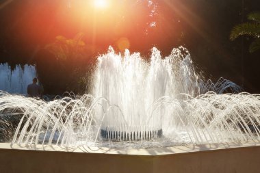 Rays of the summer setting sun brightly shine through the fountain streams in the city park clipart