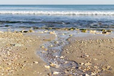 Küçük bahar creek soğuk su ile denize akar. Çakıl taşları ve kabukları parçaları ile deniz sahil boyunca denizin dere akar