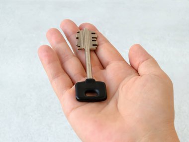 Siyah kafalı büyük daire anahtarı açık avuç üzerinde yatıyor