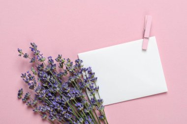 Beyaz bir kağıt parçasının yanında küçük kokulu lavanta buketi. Pembe bir arkaplandaki notlar için. Fotokopi alanı olan yaz ve romantik tebrik kartı. Üst görünüm.