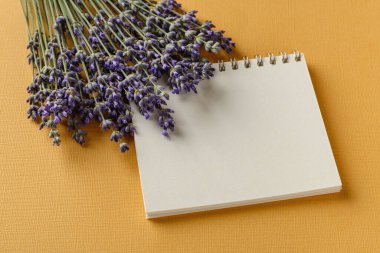Küçük bir demet kokulu lavanta boş bir not defterinin üzerinde dokusal sarı bir zemin üzerinde. Fotokopi alanı olan yaz ve romantik tebrik kartı. Üst görünüm.