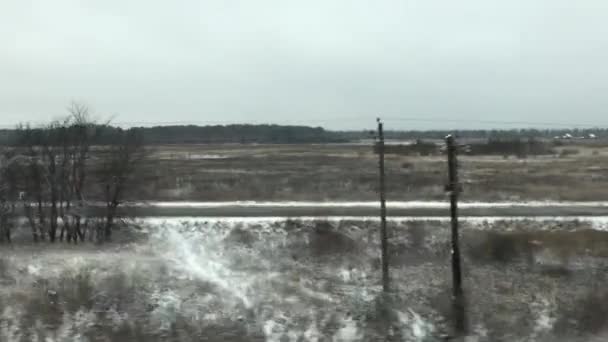 Blick auf den Wald aus dem Zugfenster — Stockvideo