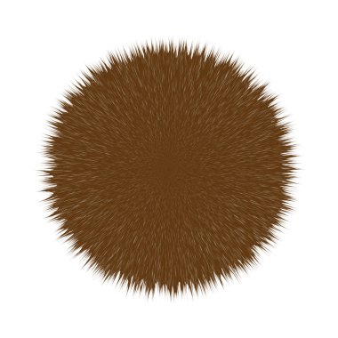 Kahverengi tüylü saç Pom